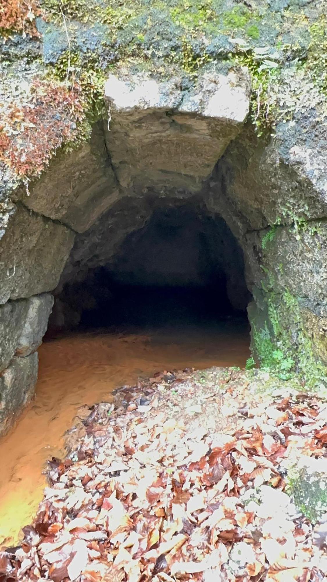 B&B Dolomia Sagron Mis Dış mekan fotoğraf