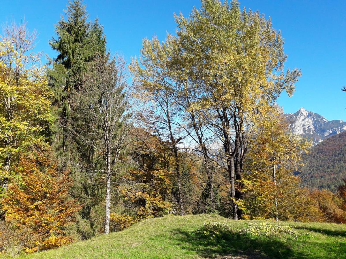 B&B Dolomia Sagron Mis Dış mekan fotoğraf